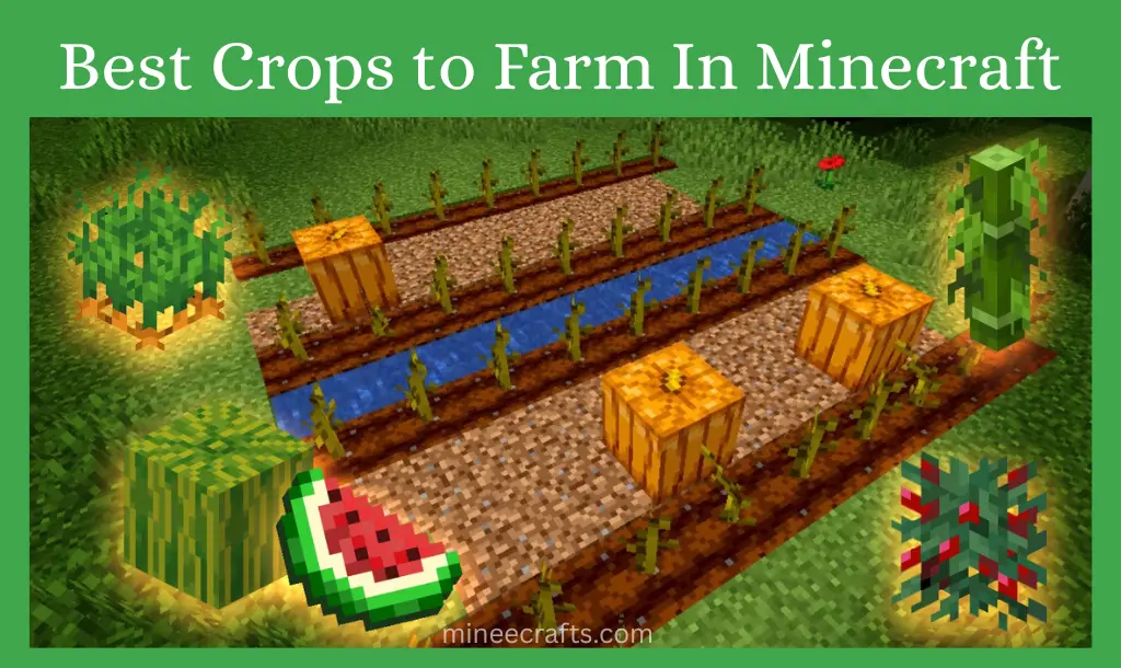 Best Crops to Farm in Minecraft