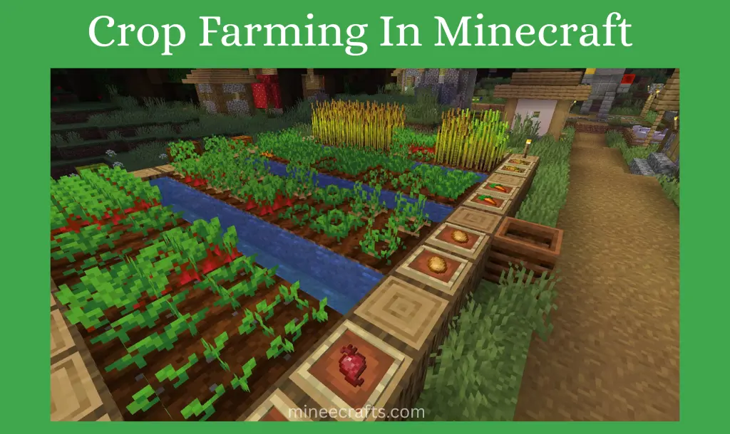 Crop Farming in Minecraft